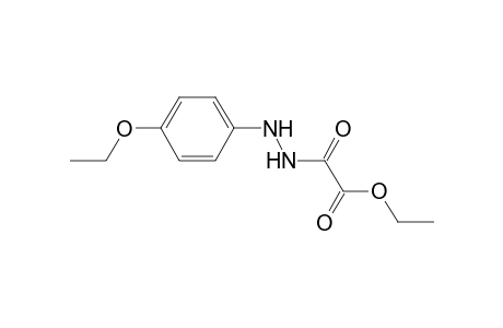 Ethyl [2-(4-ethoxyphenyl)hydrazino](oxo)acetate