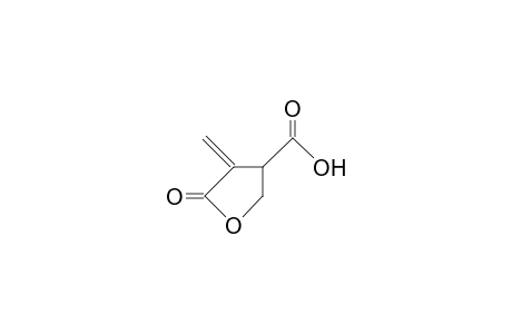 3-Carboxy-2-methylene.gamma.-butyrolactone