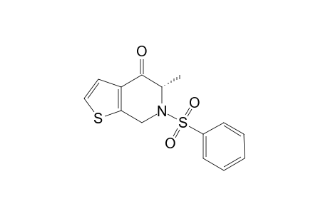 2-Methyl-3-N-(phenylsulfonyl)-tetrahydrothieno[2,3-c]pyridinone