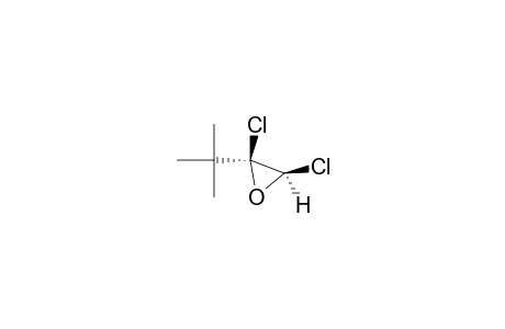 Oxirane, 2,3-dichloro-2-(1,1-dimethylethyl)-, cis-