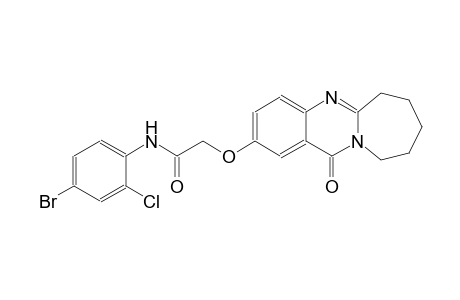 acetamide, N-(4-bromo-2-chlorophenyl)-2-[(6,7,8,9,10,12-hexahydro-12-oxoazepino[2,1-b]quinazolin-2-yl)oxy]-