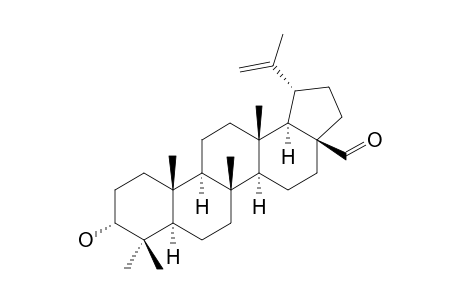 3-EPIBETULINIC-ALDEHYDE