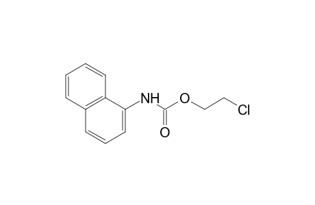 1-naphthalenecarbamic acid, 2-chloroethyl ester