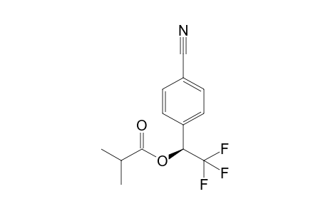 (S)-2,2,2-Trifluoro-1-(4-cyano-phenyl)ethyl iso-butyrate