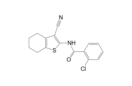 2-Chloro-N-(3-cyano-4,5,6,7-tetrahydro-1-benzothien-2-yl)benzamide