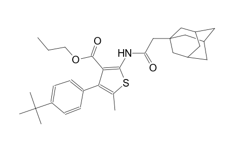 propyl 2-[(1-adamantylacetyl)amino]-4-(4-tert-butylphenyl)-5-methyl-3-thiophenecarboxylate