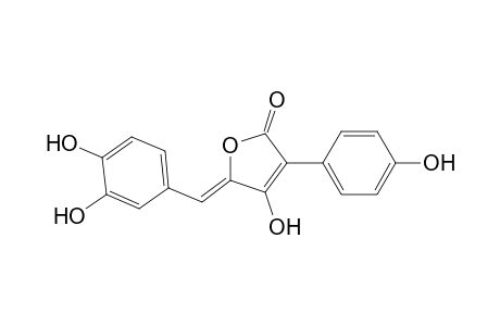 2(5H)-Furanone, 5-[(3,4-dihydroxyphenyl)methylene]-4-hydroxy-3-(4-hydroxyphenyl)-
