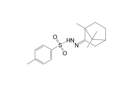 p-toluenesulfonic acid, (2-bornylidene)hydrazide