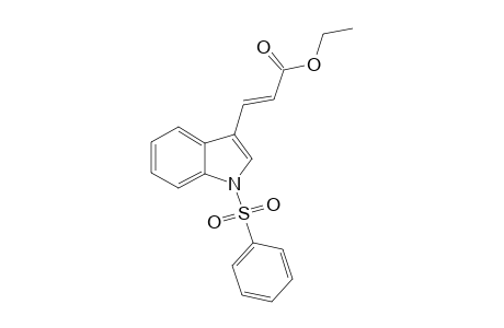 trans-1-(phenylsulfonyl)indole-3-acrylic acid, ethyl ester