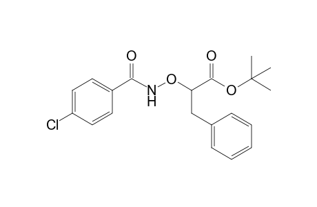 D-tert-Butyl 2-p-chlorophenylcarbonylaminoxy-3-phenylpropanoate