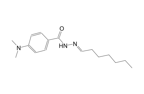 4-(dimethylamino)-N'-[(E)-heptylidene]benzohydrazide