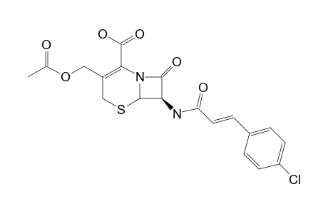 7-BETA-(4-CHLOROCINNAMOYL)-AMINO-3-ACETOXYMETHYL-CEPHALOSPORINE