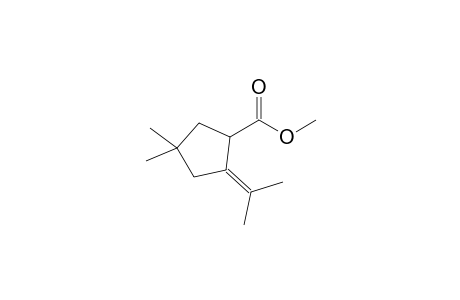 2-isopropylidene-4,4-dimethyl-cyclopentanecarboxylic acid methyl ester