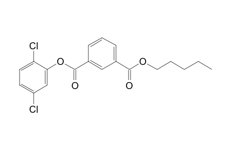 Isophthalic acid, 2,5-dichlorophenyl pentyl ester