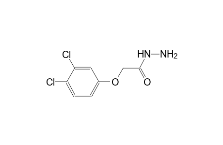 2-(3,4-dichlorophenoxy)acetohydrazide