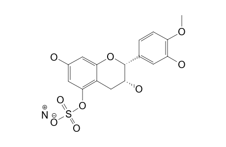 4'-O-METHYLEPICATECHIN-5-SULFATE_AMMONIUM_SALT