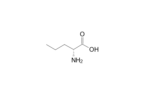 D-norvaline