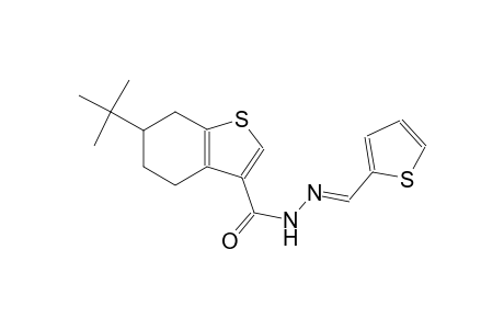 6-tert-butyl-N'-[(E)-2-thienylmethylidene]-4,5,6,7-tetrahydro-1-benzothiophene-3-carbohydrazide