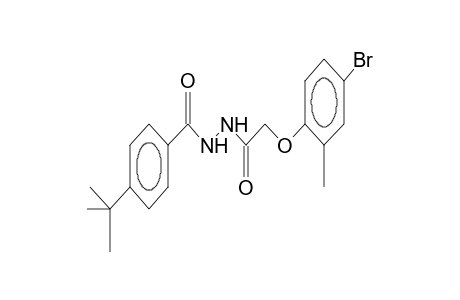 N'-(4-tert-butylbenzoyl)-2-(2-methyl-4-bromophenyloxy)acetic acid hydrazide