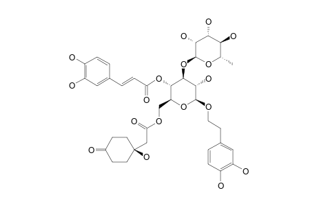6'-O-(1-HYDROXY-4-OXO-CYCLOHEXANACETYL)-ACTEOSIDE