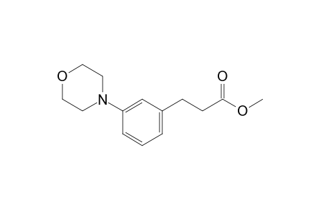 Methyl 3-Morpholin-4-ylphenylpropanoate