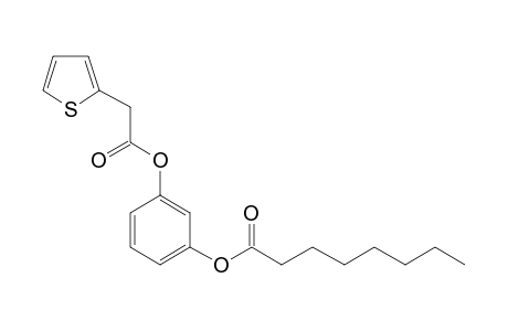 1,3-Benzenediol, o-octanoyl-o'-(thiophen-2-acetyl)-