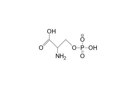 Phosphoserine anion