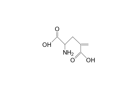 4-Methylene-glutamic acid