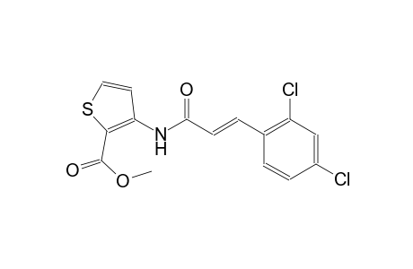methyl 3-{[(2E)-3-(2,4-dichlorophenyl)-2-propenoyl]amino}-2-thiophenecarboxylate