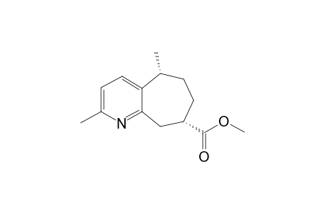 RUPESTINE-G