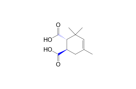 3,3,5-trimethyl-trans-4-cyclohexene-1,2-dicarboxylic acid