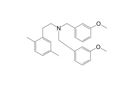 2,5-Dimethylphenethylamine N,N-bis(3-methoxybenzyl)