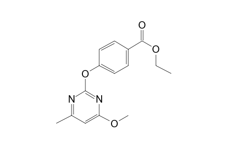 4-(4-Methoxy-6-methyl-pyrimidin-2-yloxy)-benzoic acid ethyl ester