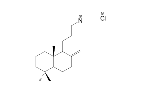 14,15,16-TRINORLABD-8(17)-EN-13-AMINE-HYDROCHLORIDE