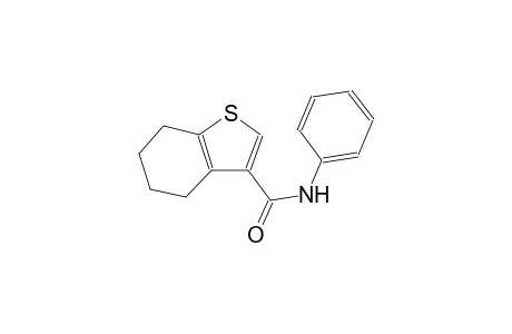 benzo[b]thiophene-3-carboxamide, 4,5,6,7-tetrahydro-N-phenyl-