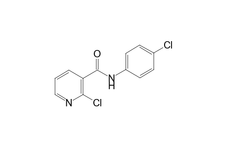 2-Chloro-N-(4-chlorophenyl)nicotinamide
