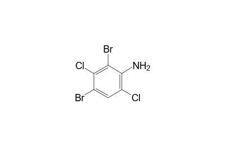 2,4-dibromo-3,6-dichloroaniline