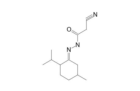 CYANOACETIC ACID, (2-ISOPROPYL-5-METHYLCYCLOHEXYLIDENE)HYDRAZIDE