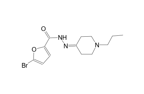 5-bromo-N'-(1-propyl-4-piperidinylidene)-2-furohydrazide