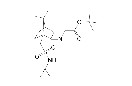 (+)-N-tert-Butyl-{[2-(1-(tert-butyloxycarbonyl)methyl-imino)-7,7-dimethylcyclo[2.2.1]heptyl-1yl]methyl}sulfonamide