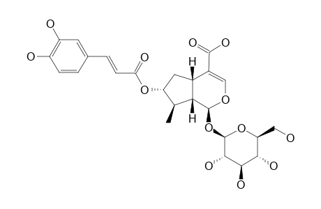 7-EPI-7-O-(E)-CAFFEOYL-LOGANIC-ACID