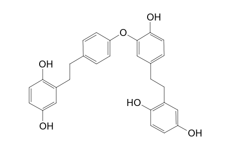 14, 14'-dihydroxyperrottetin E