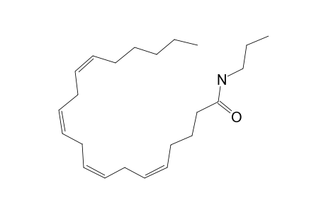 Arachidonic amide, N-N-propyl-