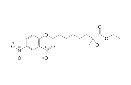 Ethyl (R)-2-[6-(2,4-dinitrophenoxy)hexyl]oxiranecarboxylate