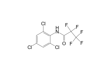 N-pentafluoropropionyl 2,4,6-trichloroaniline