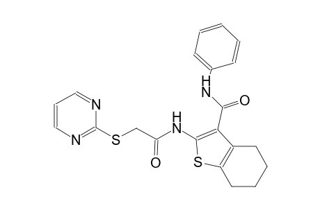 N-phenyl-2-{[(2-pyrimidinylsulfanyl)acetyl]amino}-4,5,6,7-tetrahydro-1-benzothiophene-3-carboxamide