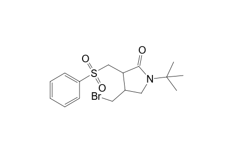 N-tert-Butyl-4-(bromomethyl)-3-[(phenylsulfonyl)methyl]-2-pyrrolidone