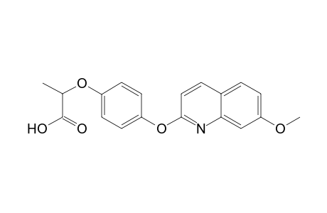 2-[4-[(7-Methoxy-2-quinolinyl)oxy]phenoxy]propionic acid
