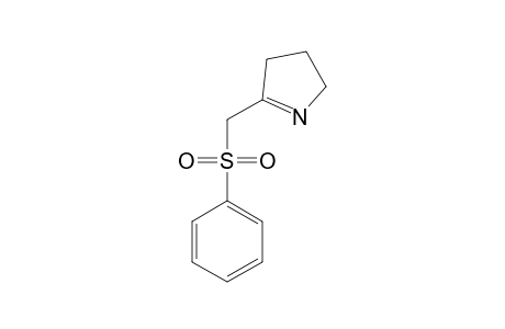 2-(PHENYLSULFONYLMETHYL)-1,2-DEHYDROPYRROLIDINE