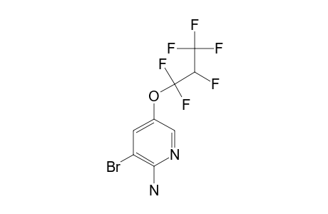 2-AMINO-3-BROMO-5-(2H-PERFLUOROPROPOXY)-PYRIDINE